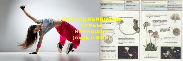 apvp Кинешма