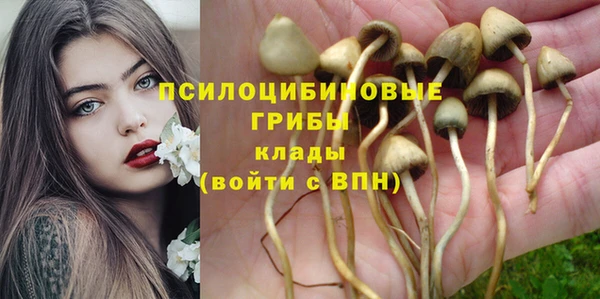 прущая мука Киреевск